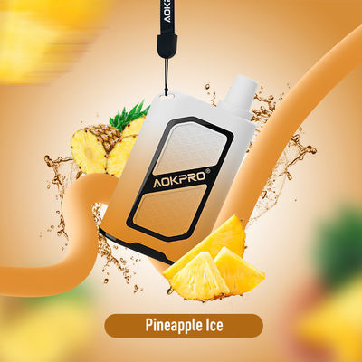 600mAh TYPE-C 환경 친화적 PC 4000 퍼프 바 재충전이 가능한 파인애플 퍼프